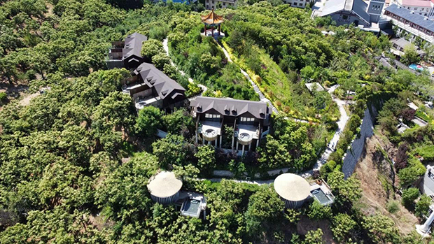 image005.jpg image005.jpg