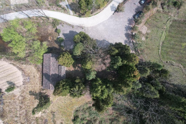 微信图片_20241022085554.jpg 微信图片_20241022085554.jpg